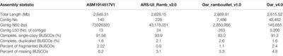 Genetic Basis of Dorper Sheep (Ovis aries) Revealed by Long-Read De Novo Genome Assembly